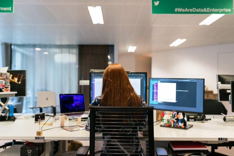 senior software engineer
